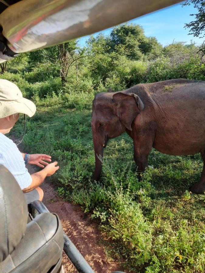 Palm Land Eco Resort And Safari Tours Udawalawe Ngoại thất bức ảnh
