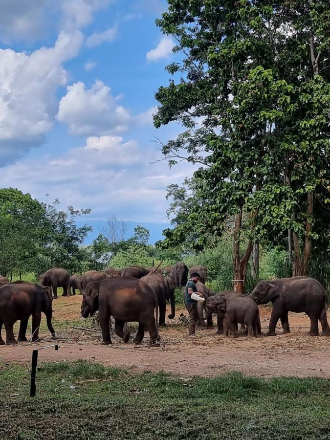 Palm Land Eco Resort And Safari Tours Udawalawe Ngoại thất bức ảnh